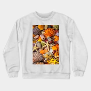 Tropical Shell Collection Crewneck Sweatshirt